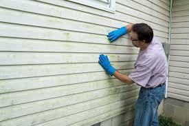 Best Vinyl Siding Installation  in Farmville, VA